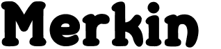 preview image of the Merkin font