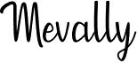 preview image of the Mevally font