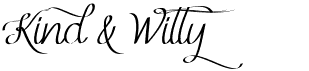 preview image of the Mf Kind & Witty font