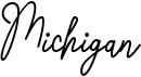 preview image of the Michigan font