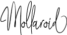 preview image of the Mollaroid font