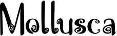 preview image of the Mollusca font