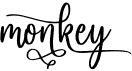 preview image of the Monkey font
