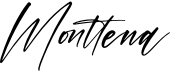 preview image of the Monttena font