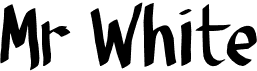preview image of the Mr White font