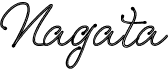 preview image of the Nagata font