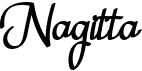 preview image of the Nagitta font
