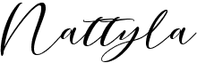 preview image of the Nattyla font