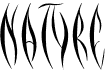 preview image of the Natyre font