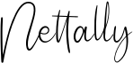 preview image of the Nettally font