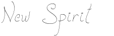 preview image of the New Spirit font