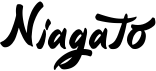 preview image of the Niagato font