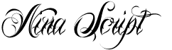 preview image of the Nina Script font