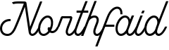 preview image of the Northfaid font