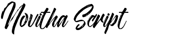 preview image of the Novitha Script font