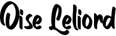 preview image of the Oise Leliord font