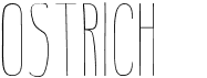 preview image of the Ostrich font