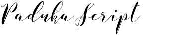 preview image of the Paduka Script font