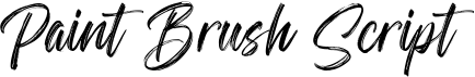 preview image of the Paint Brush Script font