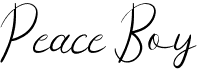 preview image of the Peace Boy font