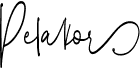 preview image of the Pelakor font