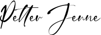 preview image of the Petter Jenne font