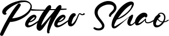 preview image of the Petter Shao font