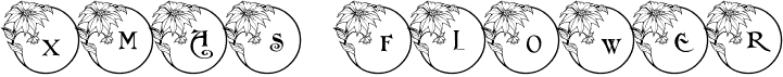 preview image of the PF Xmas Flower 1 font