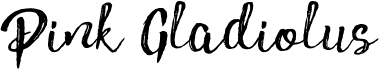 preview image of the Pink Gladiolus font
