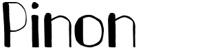 preview image of the Pinon font