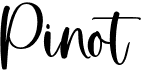 preview image of the Pinot font