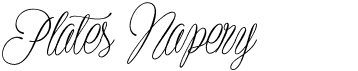 preview image of the Plates Napery font