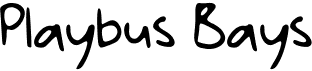 preview image of the Playbus Bays GT font