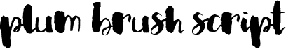 preview image of the Plum Brush Script font
