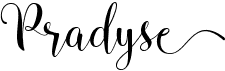 preview image of the Pradyse font