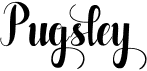 preview image of the Pugsley font