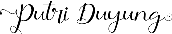 preview image of the Putri Duyung font