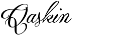 preview image of the Qaskin font