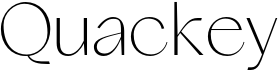 preview image of the Quackey font