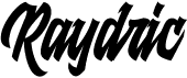 preview image of the Raydric font
