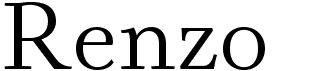 preview image of the Renzo font