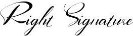 preview image of the Right Signature font
