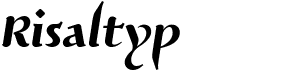 preview image of the Risaltyp font