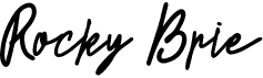 preview image of the Rocky Brie font