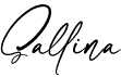 preview image of the Sallina font