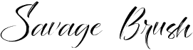 preview image of the Savage Brush font