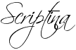preview image of the Scriptina font