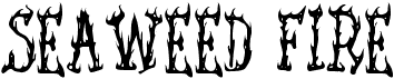 preview image of the Seaweed Fire AOE font