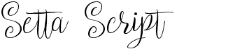 preview image of the Setta Script font