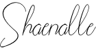preview image of the Shaenalle font